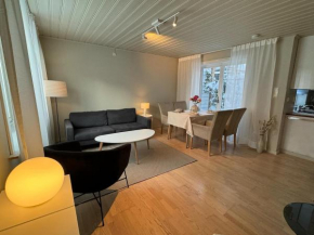Large apartment 1 kilometer to Bryggen